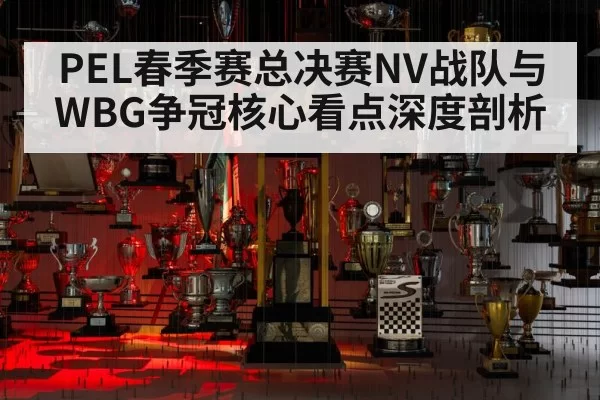 PEL春季赛总决赛NV战队与WBG争冠核心看点深度剖析